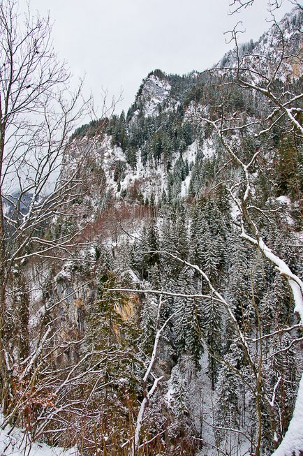 Castele din Bavaria