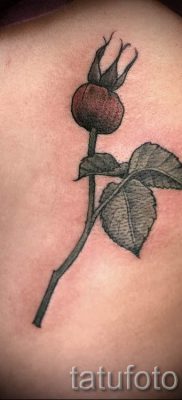 Semnificația câinelui de tatuaj a crescut - sensul, istoria, fotografia tatuajelor gata făcute