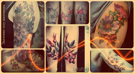 Semnificația tatuajului a crescut - sensul, istoria, fotografia tatuajelor gata făcute