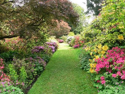 10 Кращих садів великобритании, які потрібно відвідати навесні