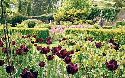 Top 10 grădini ale Marii Britanii pentru a vizita în primăvară