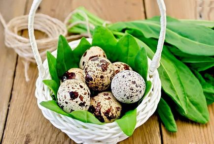 5 Mituri despre ouăle de prepelite