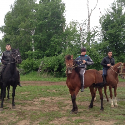 Cum rămâne cu caii rapizi pentru locuitorii din regiunea agrară, ziarul Agryzskiye Vesti