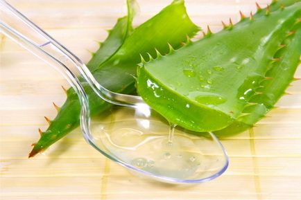 Aloe vera Visszerek receptek kezelésére és megelőzésére