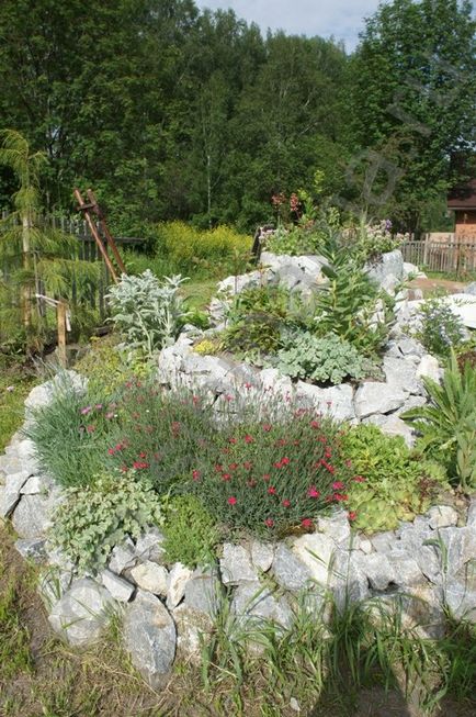 Альпійська гірка на дачі - ландшафтний дизайн ділянки