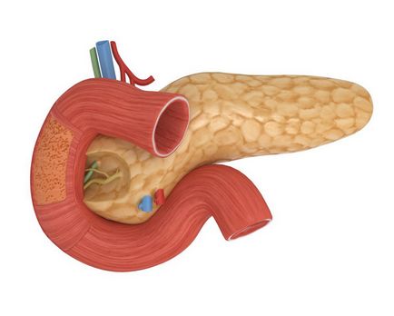 Amilaza tratamentul pancreatic este crescut - ceea ce este norma de amilaza, am văzut ceva