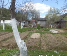 Dacha bunicii, blog despre viața de dacha în teorie și practică - partea 11