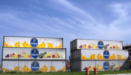 Depozitarea comercială a bananelor