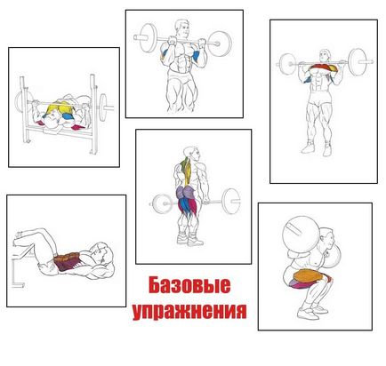 Exerciții de bază în sala de gimnastică, un blog al lui Max Obuhov, formare competentă de la A la Z