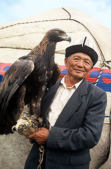 Vultur de vultur și un bărbat
