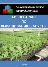 Бізнес план по вирощуванню капусти »- технологія і організація