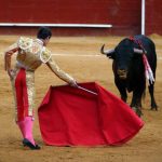 Combaterea luptelor cu tauri de taur în Spania, lupta cu animalele între ele