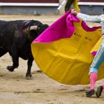 Combaterea luptelor cu tauri de taur în Spania, lupta cu animalele între ele