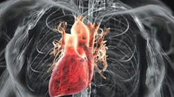 Szívfájdalom dohányzás okozza az első helyen