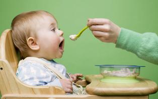 Чим годувати дитину на дачі секрети жіночого щастя