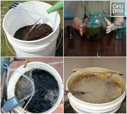 Ce este ceaiul compost, cum să îl faceți și să îl aplicați în mod corespunzător în țară, grădina de afaceri ()