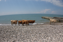 Mi történik Abháziában, ahol az orosz turisták megölték