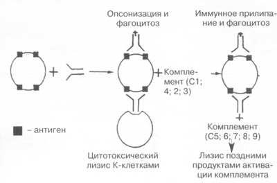 Cererea Consilium-medicum