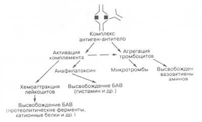 Cererea Consilium-medicum