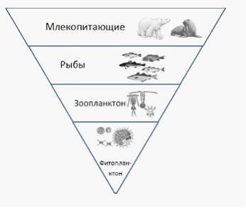 Де№1 екосистеми