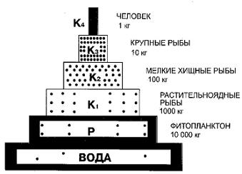 Де 4 глобальні екологічні проблеми 3 сторінка