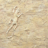 Stucuri decorative derufa marmur - tencuiala de relief