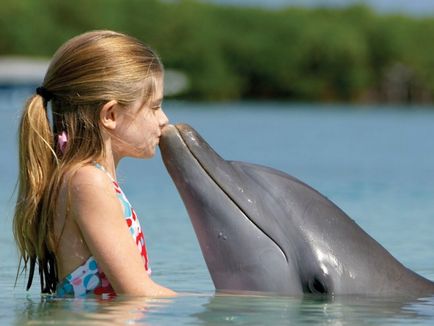 Delfinterápiás gyerekeknek - mik a csodálatos előnyeit, női csapat
