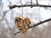 Дельфінотерапія для дітей - у чому її дивовижна користь, жіночий клуб