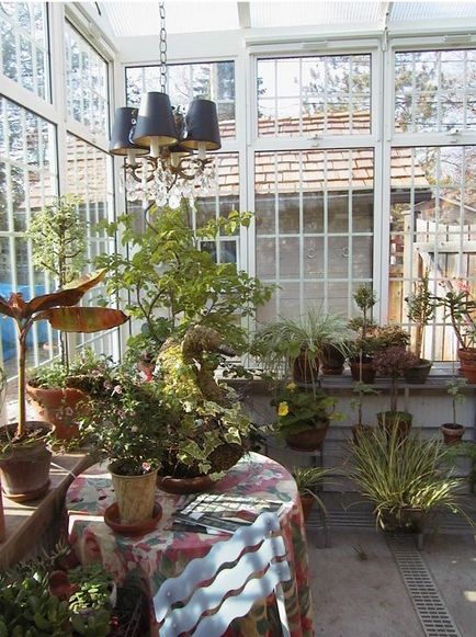 A design az üvegház, fotó tervezés üvegház tervez saját kezűleg - inhomes online magazin (üvegházak) A design az üvegház, fotó tervezés üvegház tervez saját kezűleg - egy online folyóirat inhomes