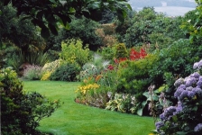 Ökológiai stílus kerttervezés - blogok