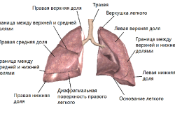 Exudative cauzele pleureziei, simptome și tratament