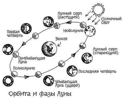 Fazele lunii - astronomie pentru ceaiuri