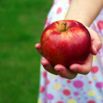 Pomelo gyümölcsök hasznos tulajdonságok és az egészségkárosodás