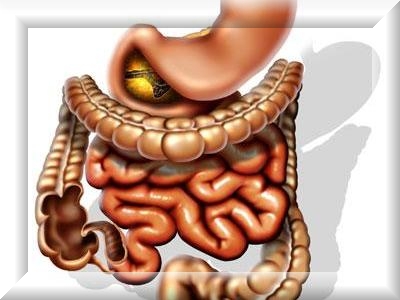 Gastroenterocolită - simptome, tratamentul gastroenterocolitei