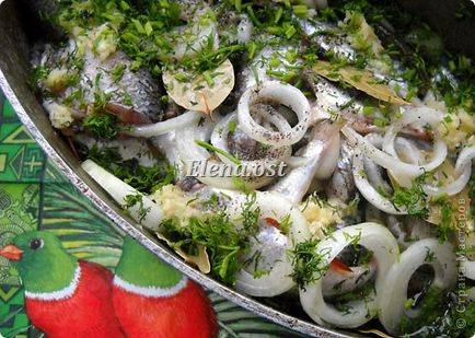 Se prepară pește - salamur - și - tigaie de pește, țara de maeștri
