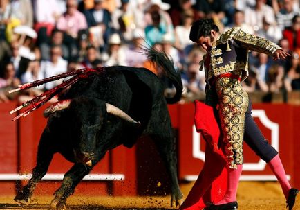 Jocul aflat la marginea vieții și a morții sau unde puteți vedea încă lupta cu tauri în Spania