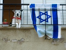 Și pisica este evreică, iar câinele e evreu ...