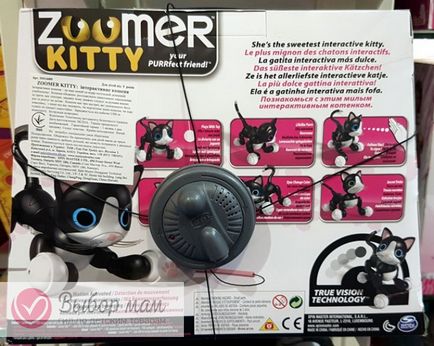 Interactiv pisica Zoom Cat din spin master