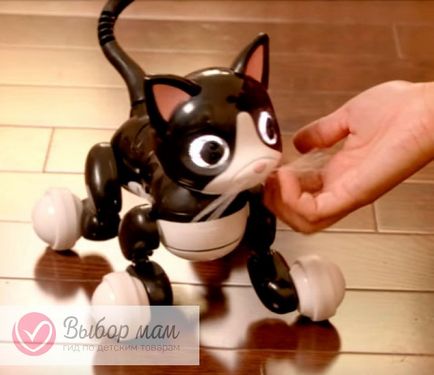 Interactiv pisica Zoom Cat din spin master