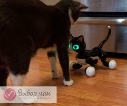 Interactiv pisica Zoom Cat din spin master