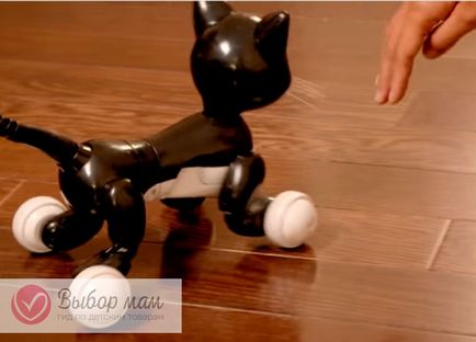 Interactiv pisica Zoom Cat din spin master