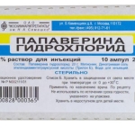 Інулін відгуки, властивості, показання та головне призначення