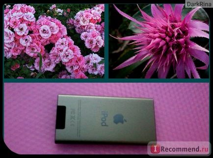 Ipod nano 7g - 