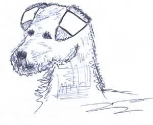 Corectarea urechilor de probleme - Jack Russell Terrier în Perm