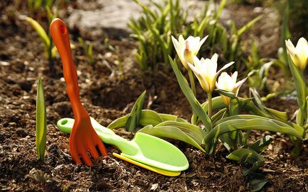 Iulie ceea ce trebuie să faceți în grădină și grădină la vârf de vară, articole utile pe blogul lui Becker