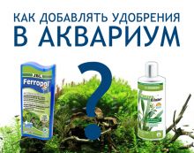 Як додавати добрива в акваріум, все для акваріума, тераріуму і ставка