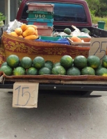 Які фрукти можна вивозити з таїланду, prosiam
