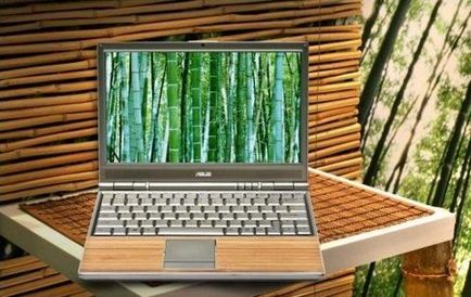 Як використовують бамбук