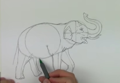 Cum de a desena un elefant - trage pas cu pas
