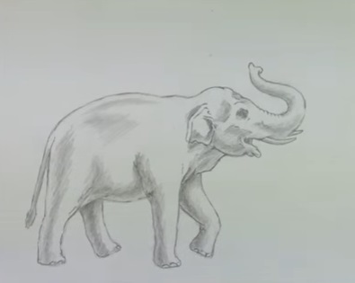 Cum de a desena un elefant - trage pas cu pas
